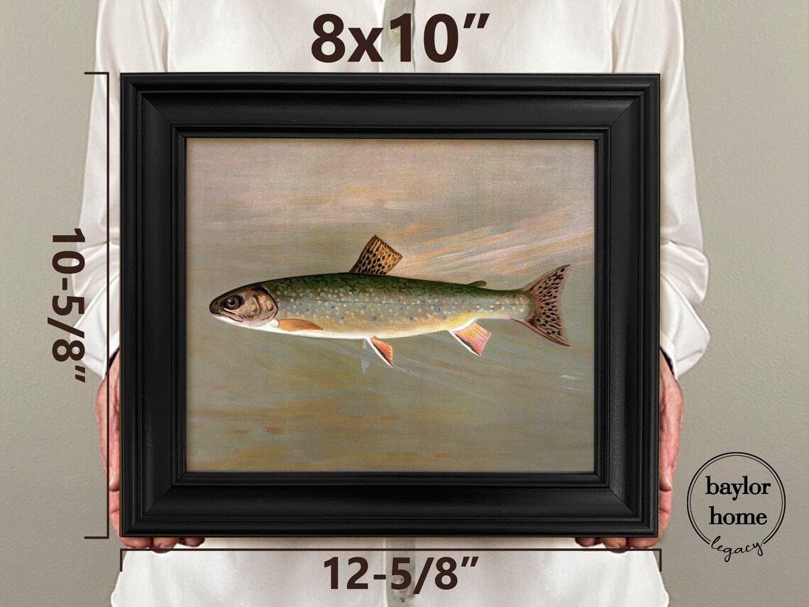 Brook Trout Swimming Detailed Vintage Fish Painting Nature Art Poster - Image 4