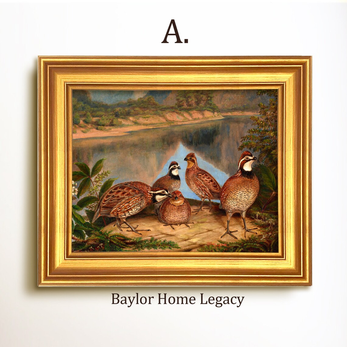 Bobwhite Quail River Landscape Oil Painting Art Print - Image 5
