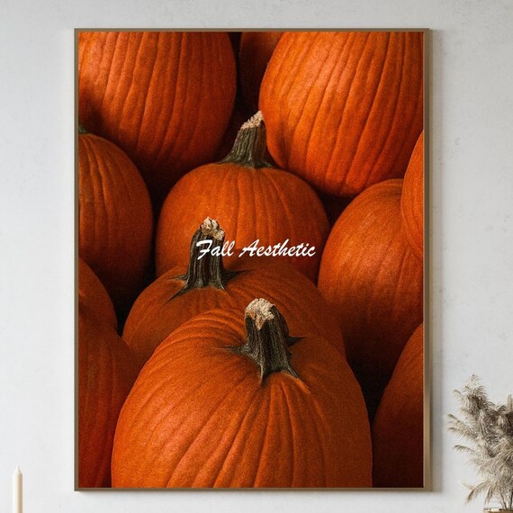 Rustic Pumpkin Wall Art Print Autumn Harvest Decor Fall Cozy Farmhouse Orange Photo Thanksgiving Gift