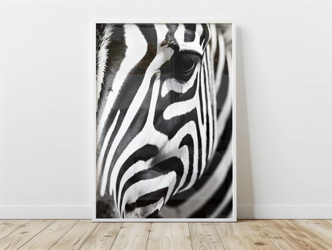 Close Up Zebra Stripes Black And White Dramatic Wildlife Art Poster