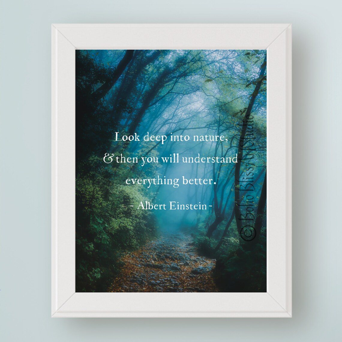 Albert Einstein Quote, Environmental Wall Art Print