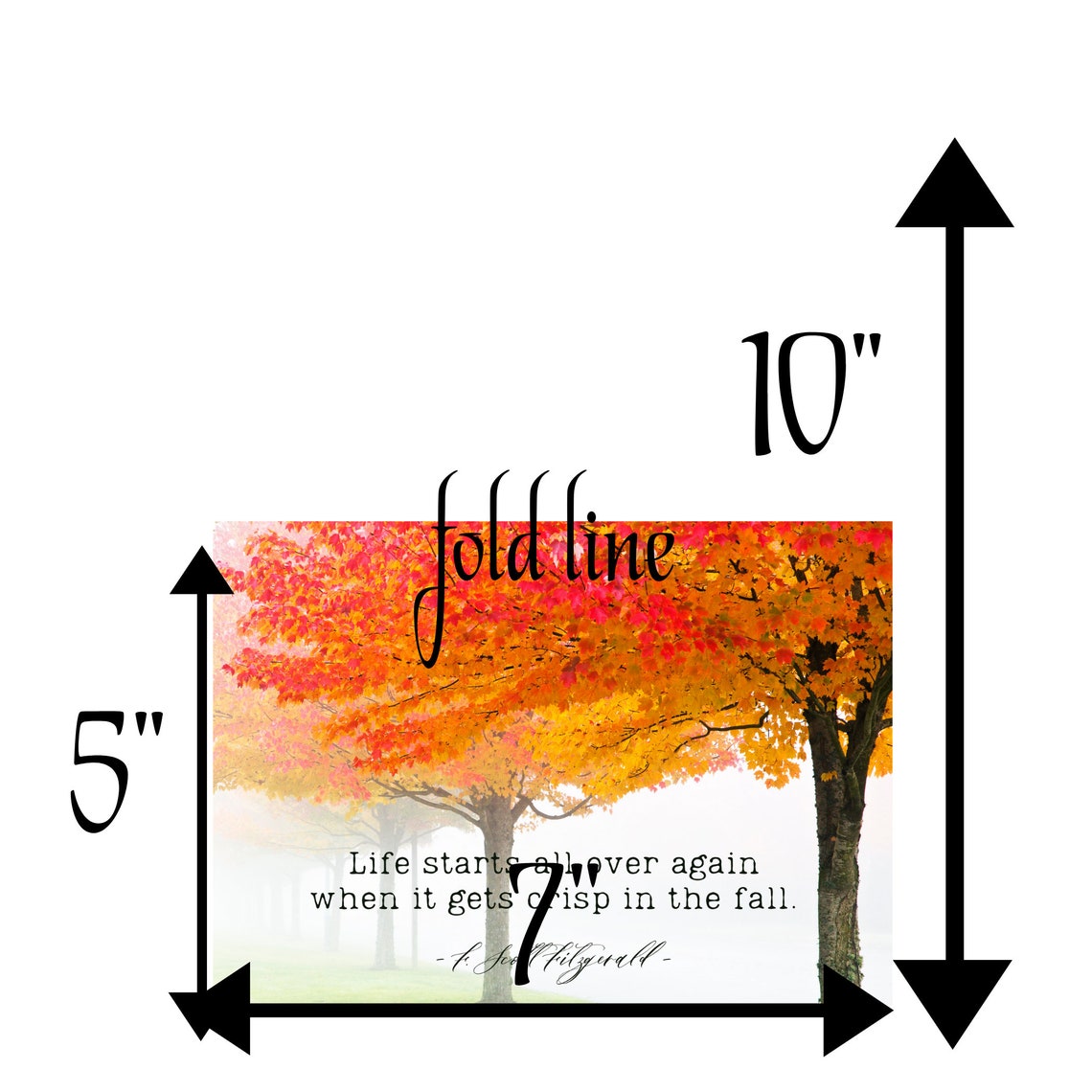 F Scott Fitzgerald Crisp Fall Autumn Red Maple Trees Quote Card - Image 2
