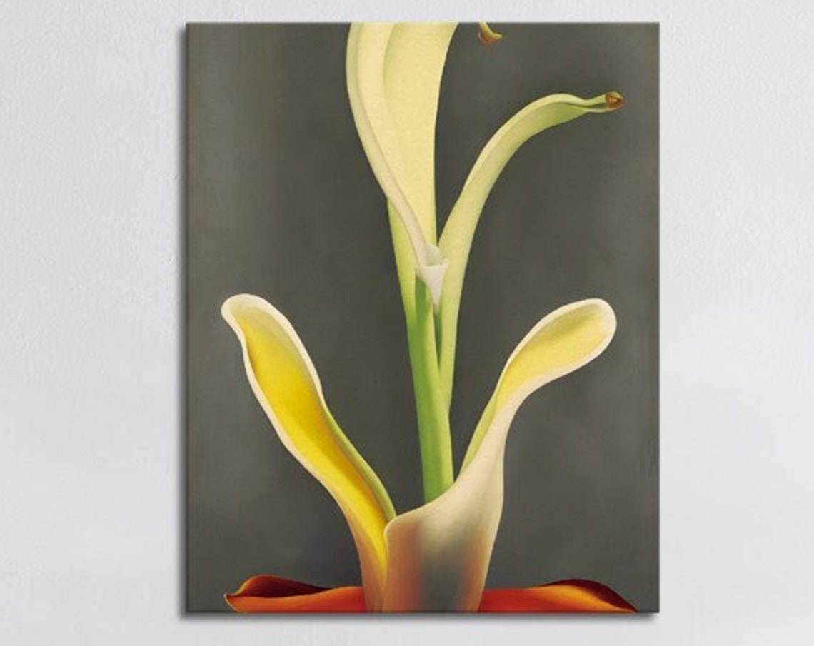 Yellow Calla Lily Fire Bloom Modern Minimal Botanical Art Poster