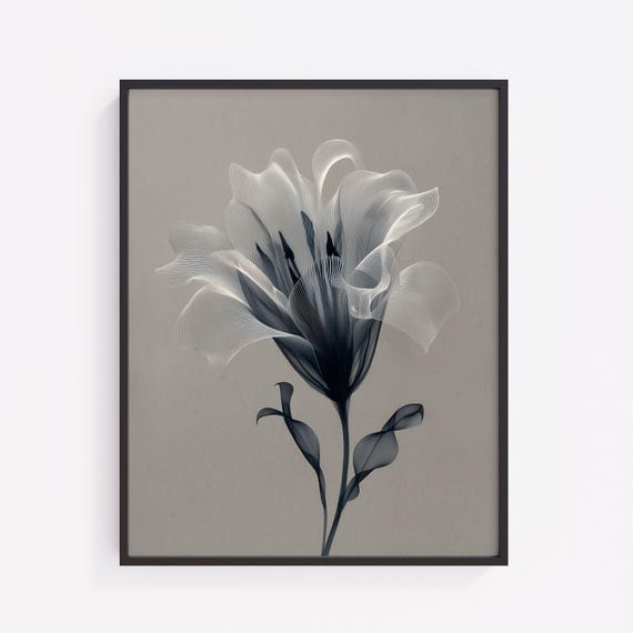 Abstract Floral Art Print Gray And White Flower Illustration V229