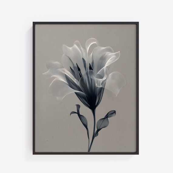 Translucent Gray Lily Abstract Floral Line Art Minimal Botanical Poster