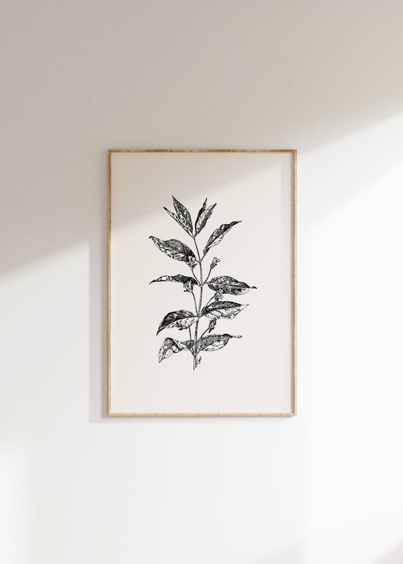 Vintage Botanical Illustration Art Print, Moody Floral