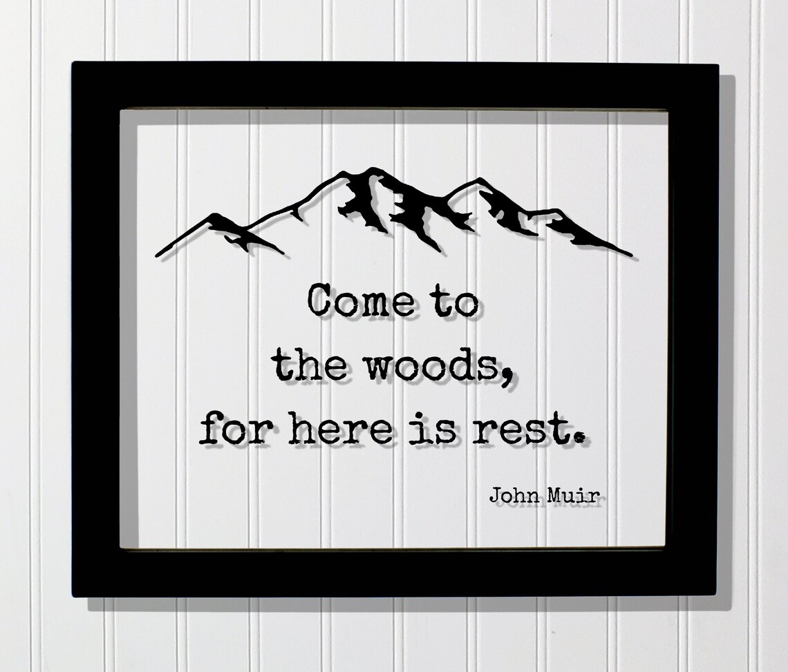 John Muir Quote Art Print, Come To The Woods