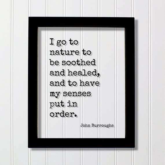 John Burroughs I Go To Nature To Be Soothed Floating Quote Poster