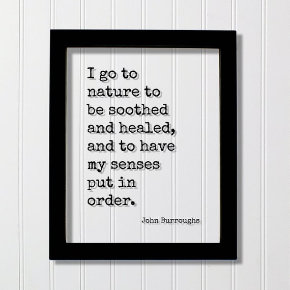 John Burroughs Quote I Go To Nature Be Soothed And Healed Have My Senses Put In Order Wilderness Hiking Camping Forest Outdoors
