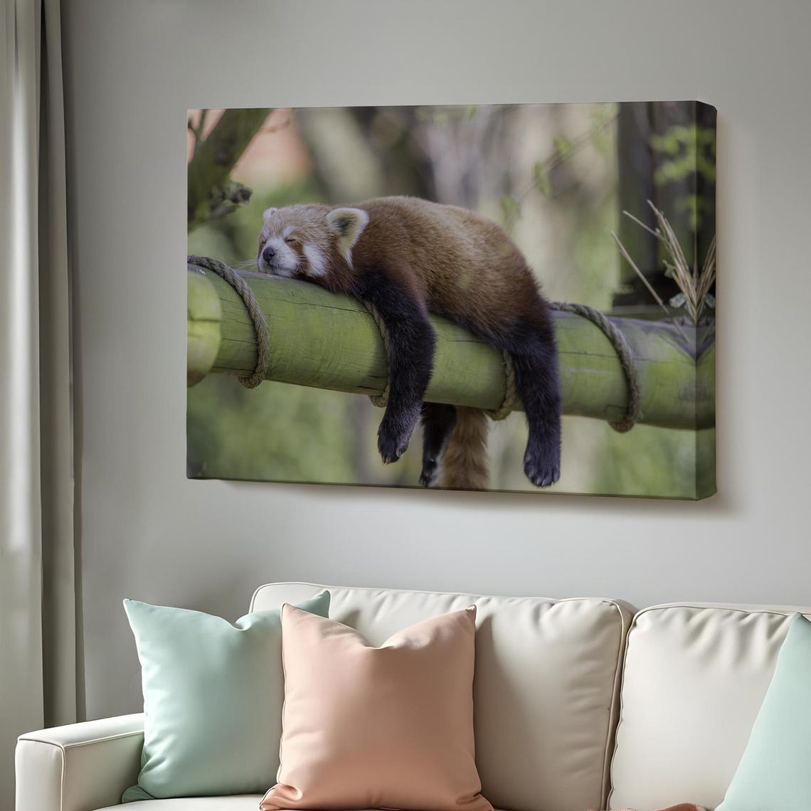 Sleeping Red Panda Draped Over Bamboo Log Cute Animal Photo Poster