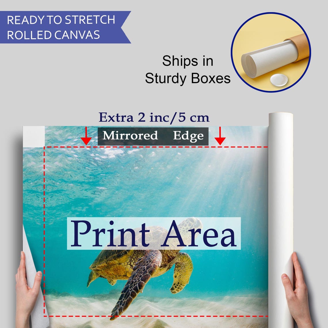 Sea Turtle Swimming Sunlit Turquoise Water Underwater Ocean Poster - Image 4