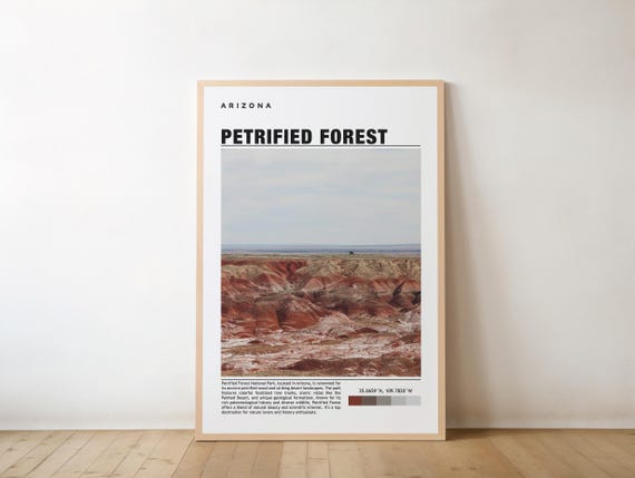 Petrified Forest Print Art Poster Photo