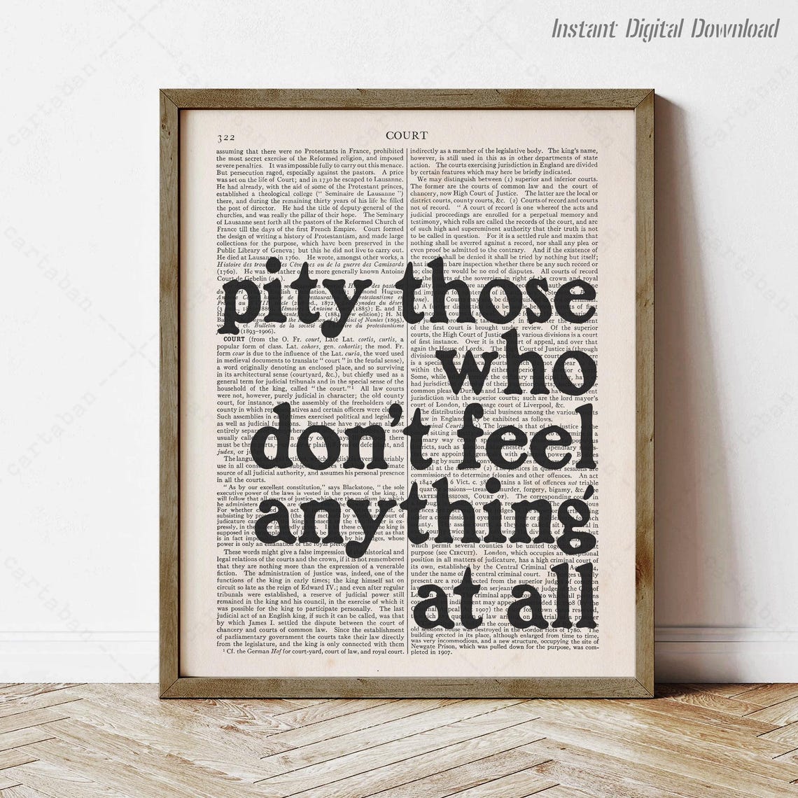 Sarah J Maas Pity Those Who Dont Feel Anything Dictionary Quote Print
