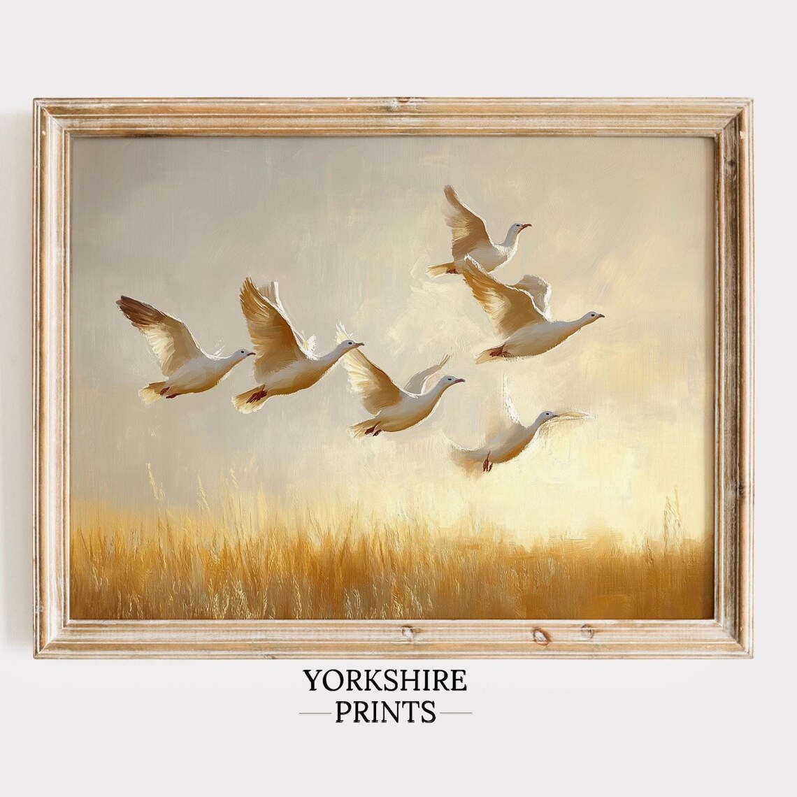 White Geese Flying Golden Wheat Field Sunset Wildlife Art Print