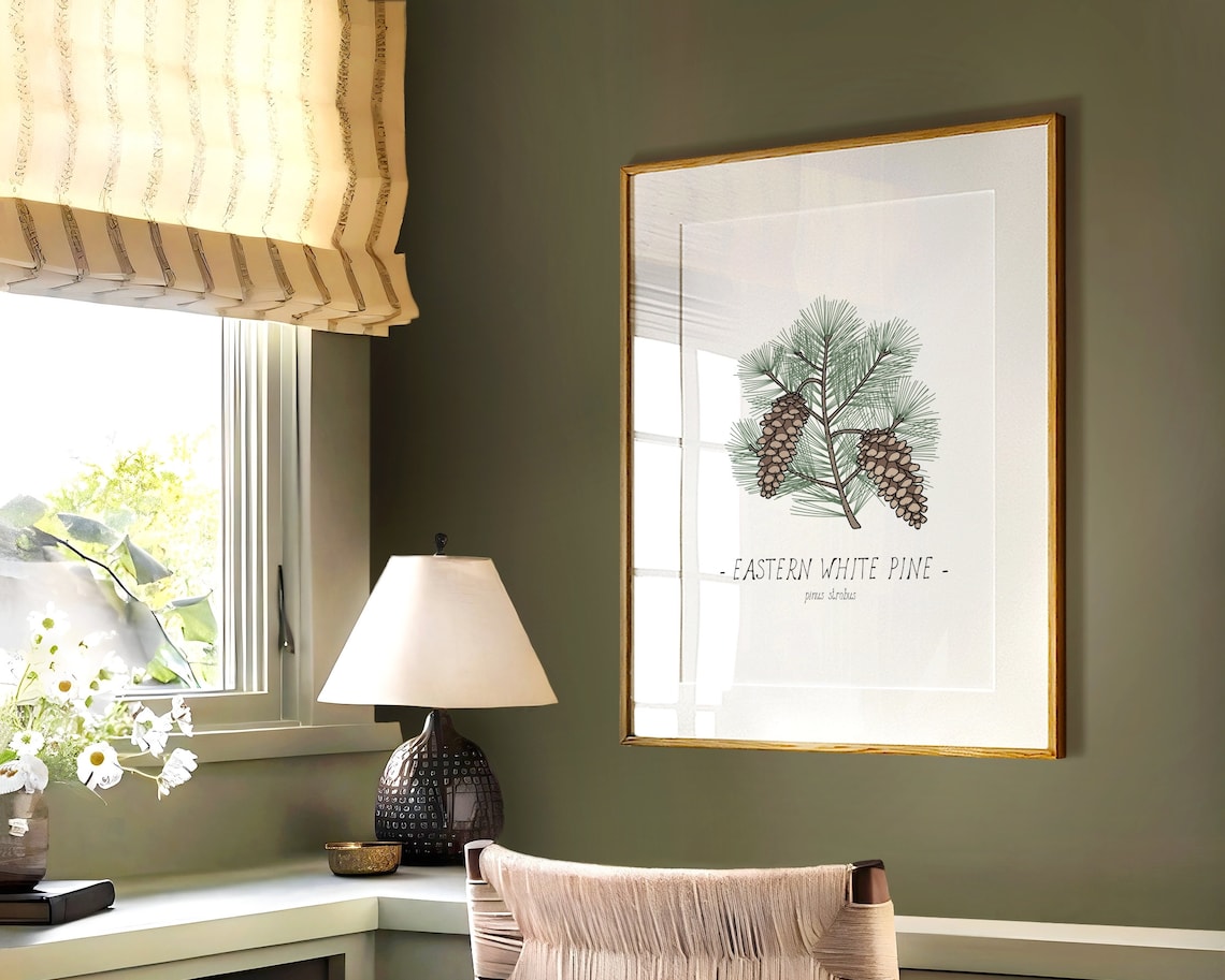 White Pine Pine Cone Botanical Drawing Art Print - Image 3