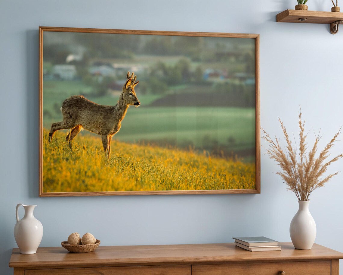 Roe Deer Buck Standing in a Golden Wildflower Field Photo Poster