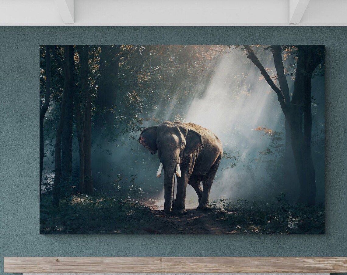Elephant In Foggy Jungle Misty Forest Wildlife Animal Wall Art - Image 2