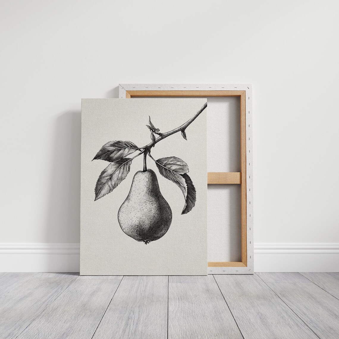 Botanical Pear Drawing, Vintage Fruit Sketch - Image 5