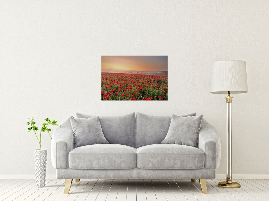 Misty Poppy Field Sunrise Hampshire Red Poppies Golden Sky Poster - Image 2