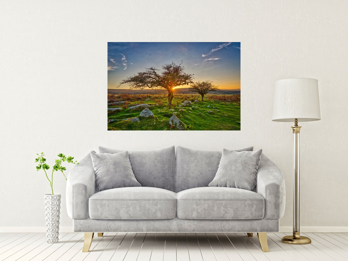Combestone Tor Dartmoor Sunset Through Ancient Hawthorn Trees Poster - Image 2