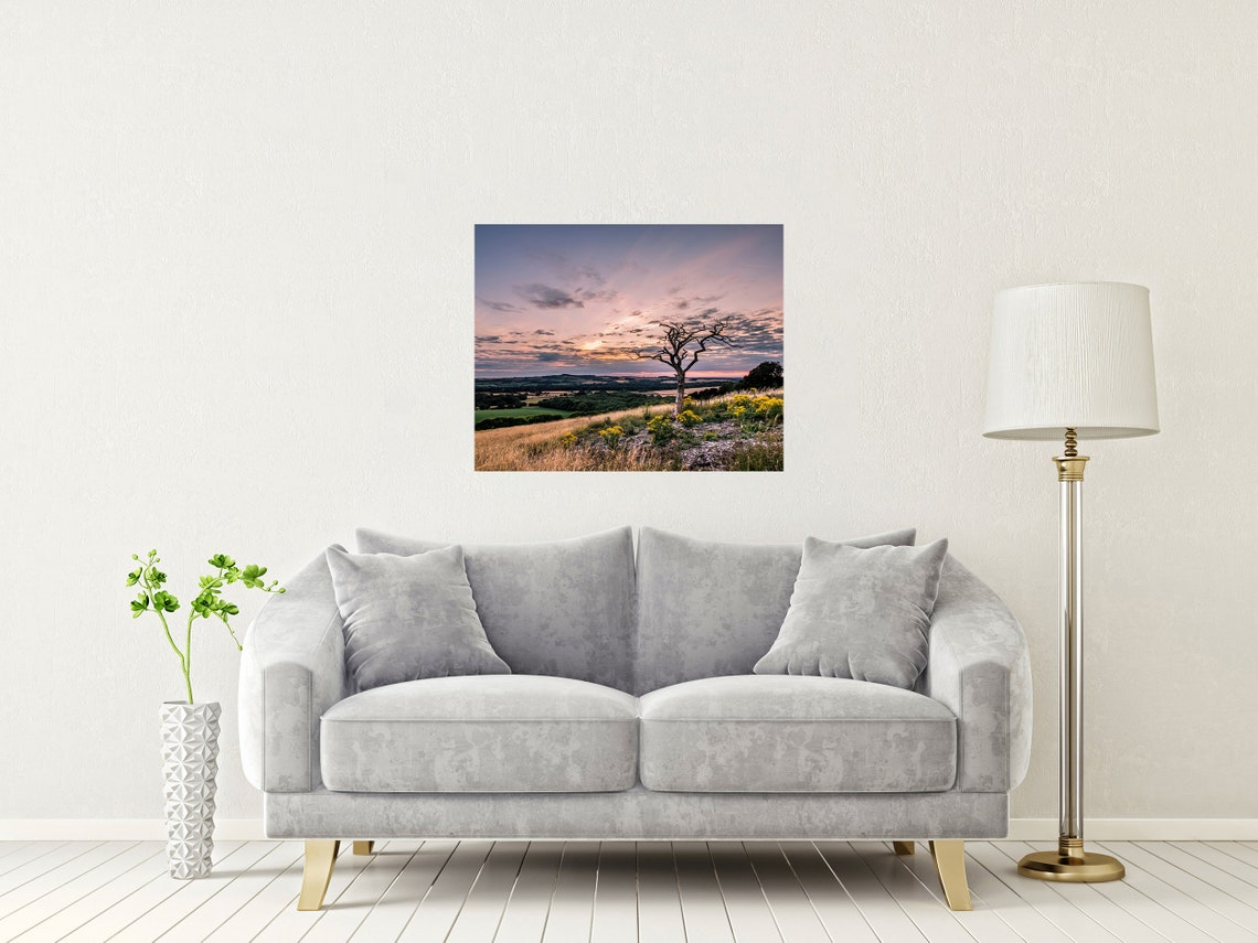 Old Winchester Hill South Downs Bare Dead Tree Sunset Poster - Image 2