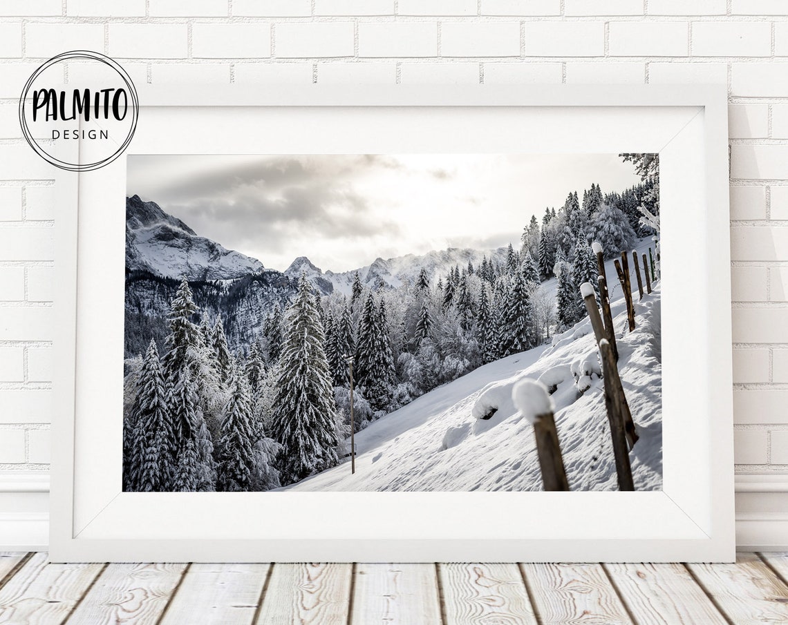 Winter Snow Forest Mountain Landscape Pine Trees Photography Poster