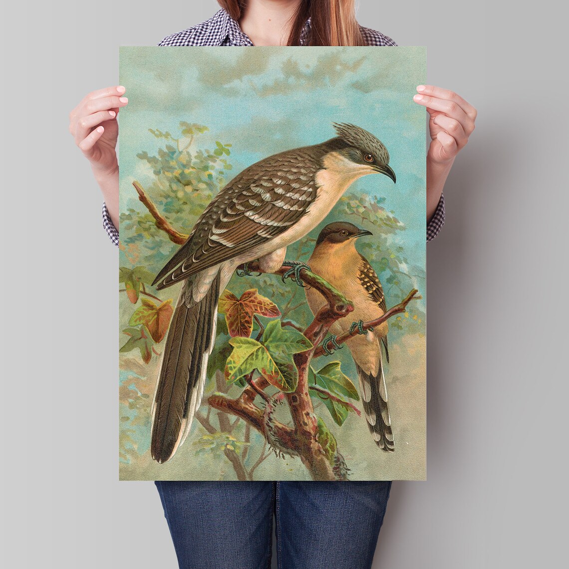 Two Cuckoos Perched on Leafy Branch Vintage Naturalist Bird Art Poster - Image 4