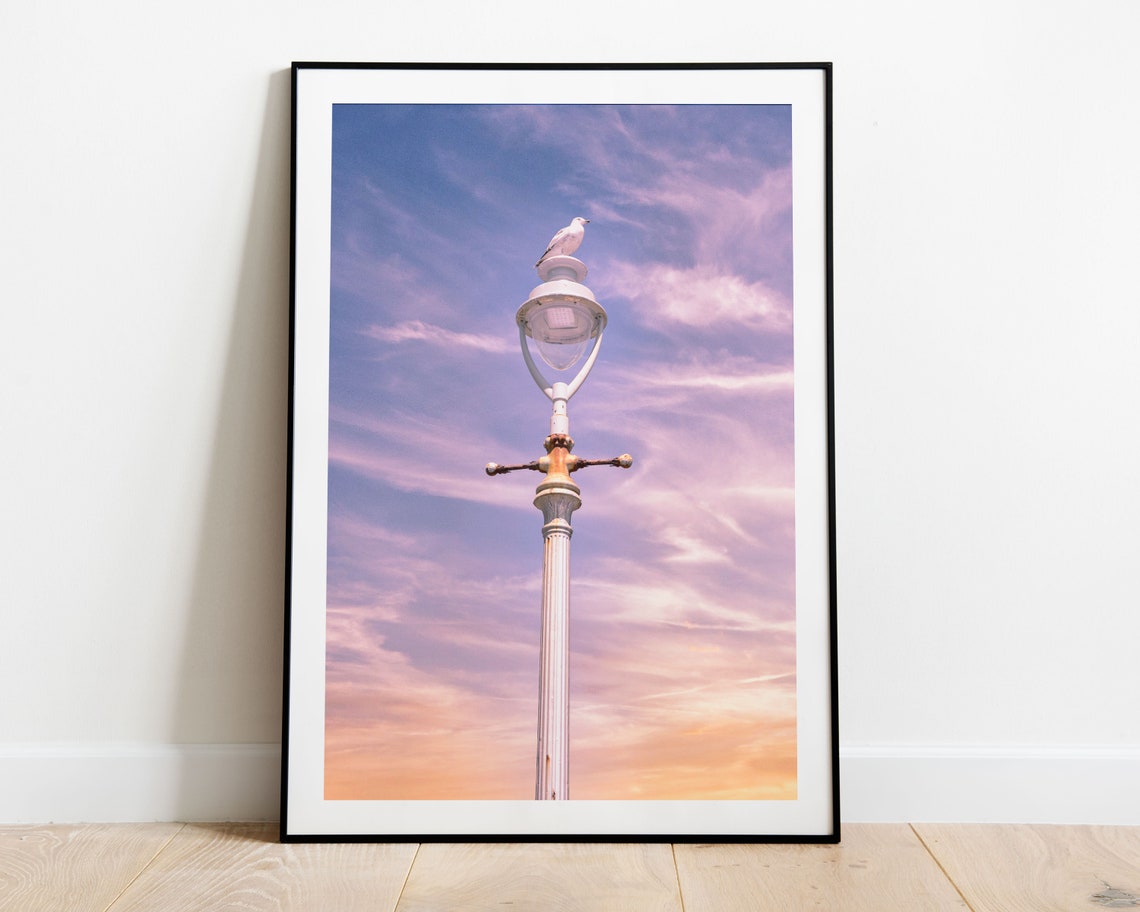 Seagull on a Vintage Lamppost at Pink Sunset Seaside Photo Poster