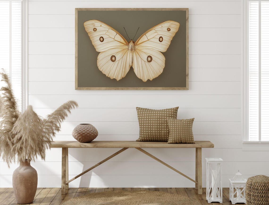 Vintage White Butterfly Specimen Dark Moody Insect Art Print - Image 2