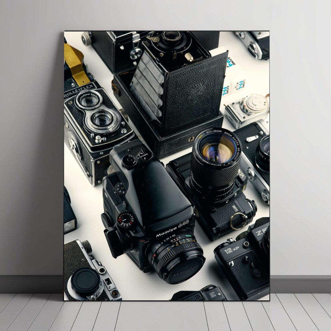 Vintage Camera Collection, Retro Photography Decor