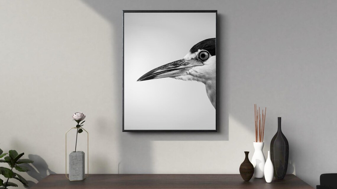 Graceful Heron Portrait, Minimalist Nature Photography