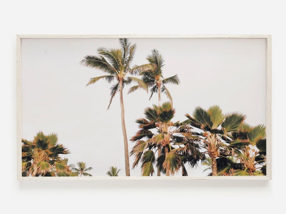 Palm Tree Frame Tv Art Frame Tv Art Tropical Beach Art Art Palm Tree Photo Botanical Frame Tv Art