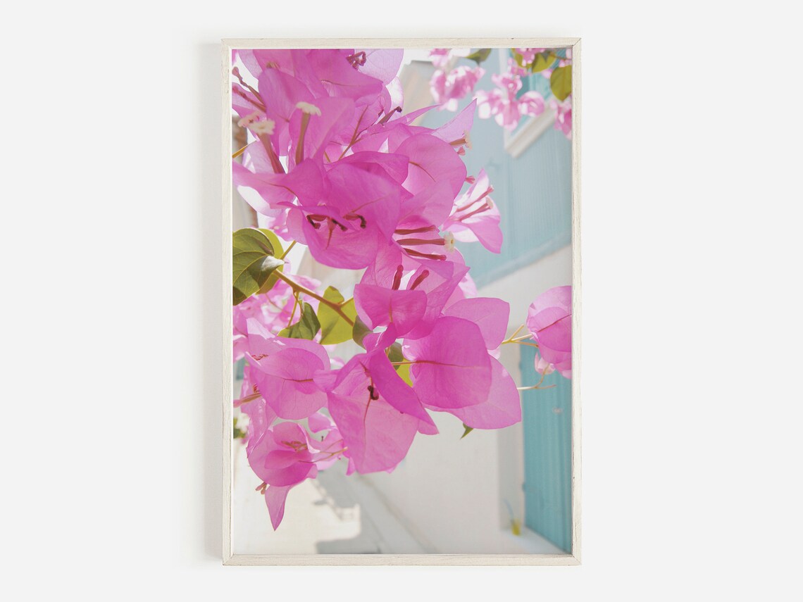 Bougainvillea Mediterranean Wall Art, Greece Art Print