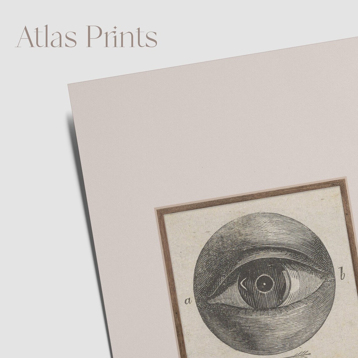 Odd Vintage Engraved Eye Diagram Surreal Antique Anatomy Poster - Image 4