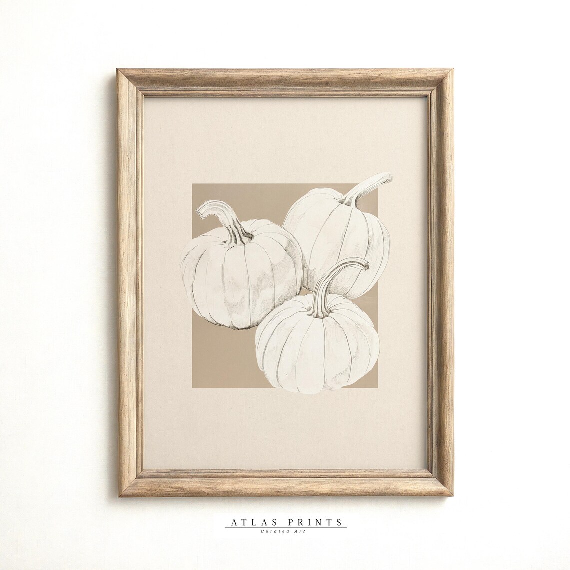 Three White Pumpkins Pencil Sketch Minimalist Neutral Fall Autumn Poster - Image 4