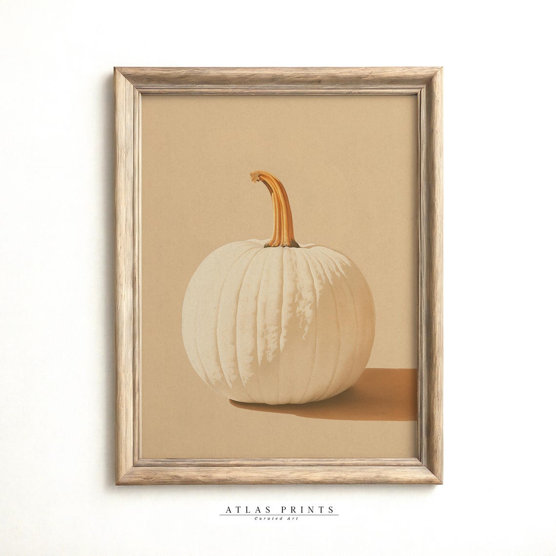 White Pumpkin Minimalist Autumn Photography Neutral Fall Poster - Image 4