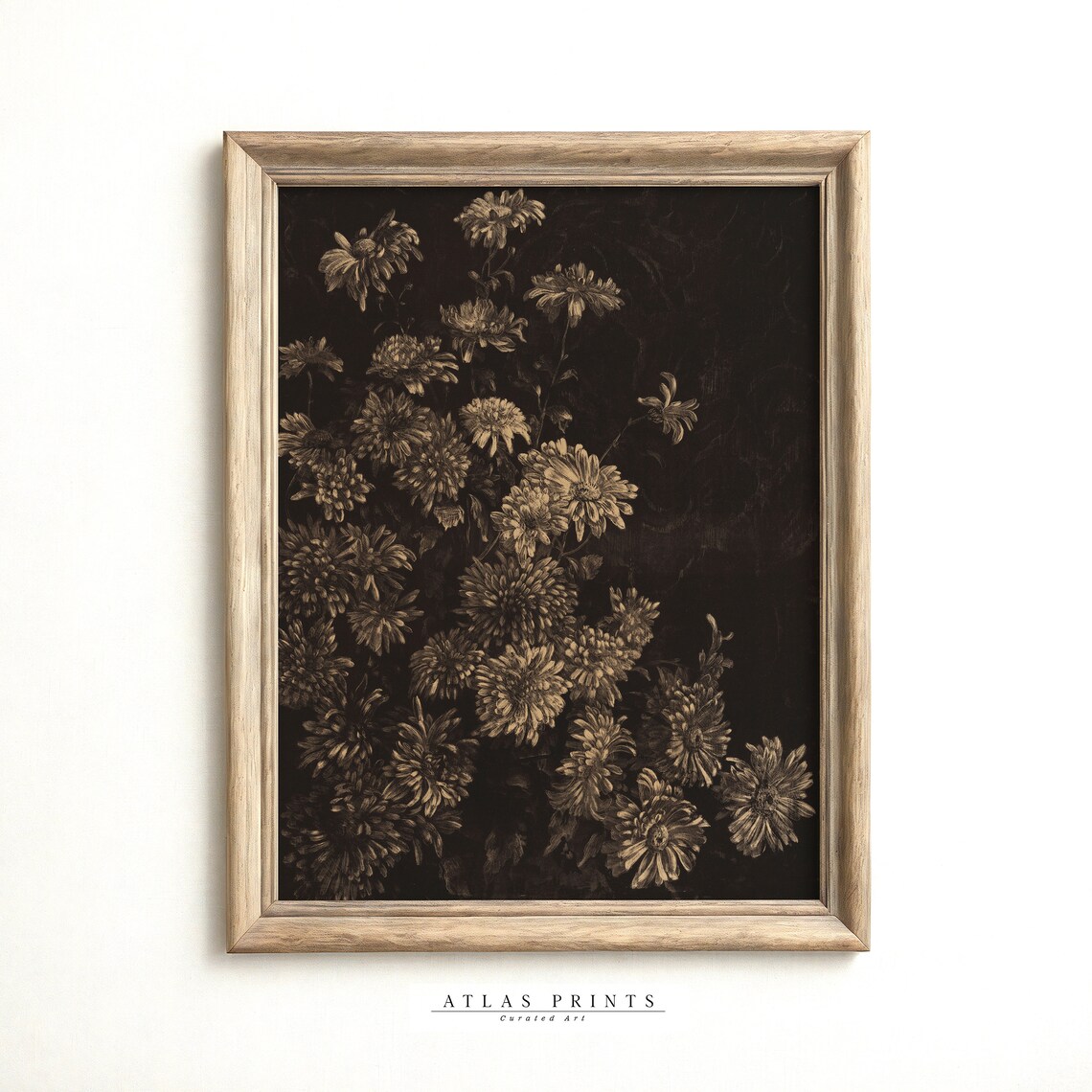 Dark Moody Floral Chrysanthemum Black Background Vintage Flower Poster