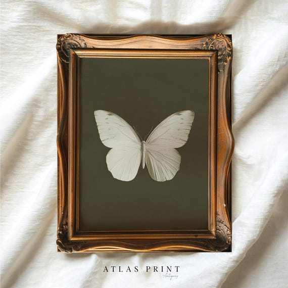 Vintage White Butterfly Print Dark Moody Insect Wall Art Cottagecore Sage Green Decor Prints Antique Moth Painting