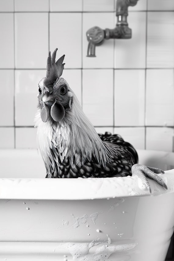 Chicken In The Bathtub Funny Animal Photograph Chicken Taking A Bubble Bath Ai Animal Print Funny Bathroom Wall Art Home