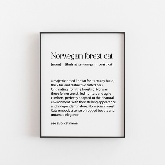 Norwegian Forest Cat Breed Definition Dictionary Nordic Feline Poster