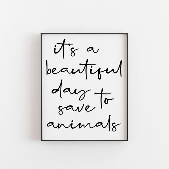 Veterinarian Gift, Office Decor Art Print