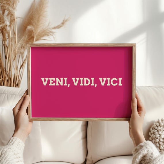 Veni Vidi Vici Latin Quote Minimalist Art Print