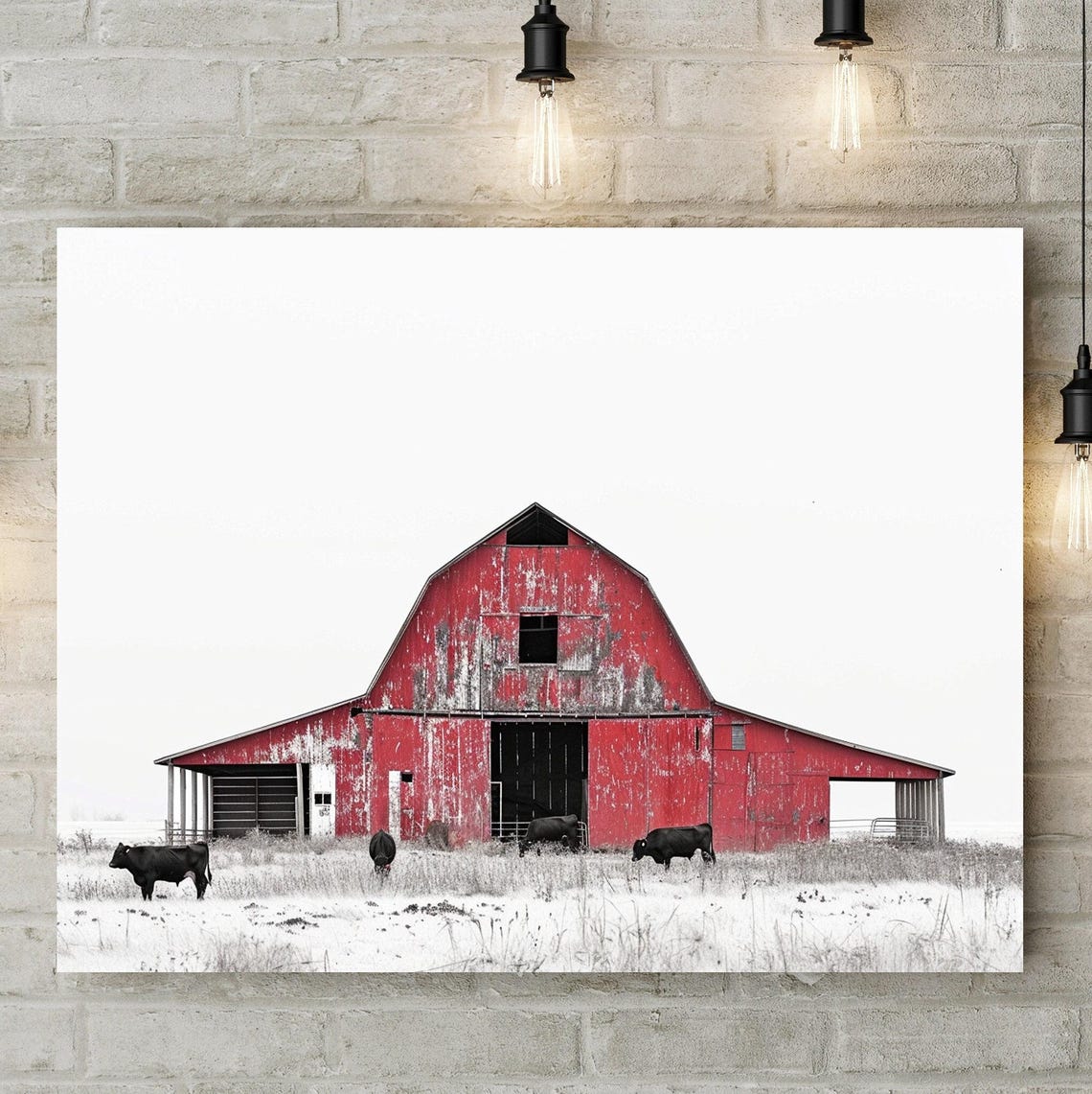 Red Weathered Barn with Black Cows Grazing in Snowy Field Poster - Image 4