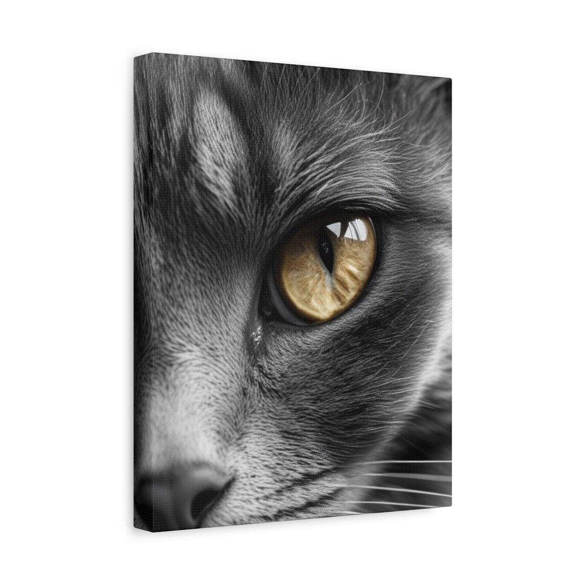 Cat Amber Eye Close Up Black White Macro Animal Photography Poster