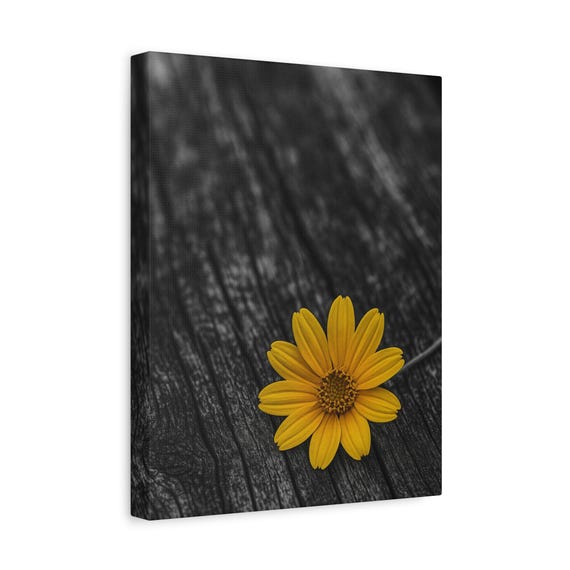 Yellow Daisy On Wood Wall Art Minimalist Floral Photography Postermoody Nature Print For Modern Home Decorsymbolic Botanical Artsoartwo