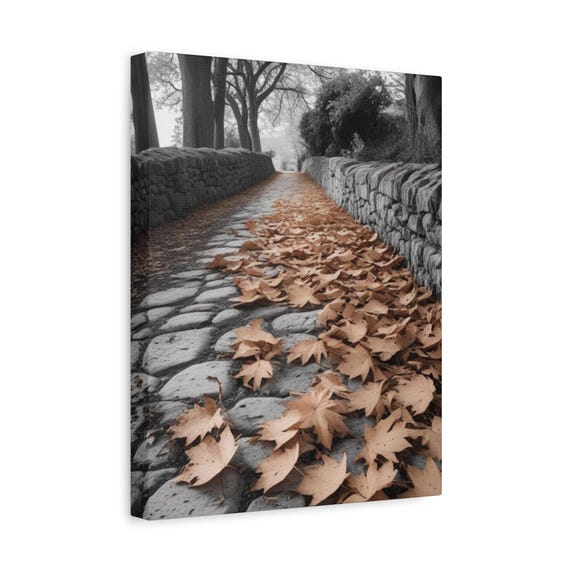 Autumn Leaves Stone Path Black White Color Splash Fall Photo Poster