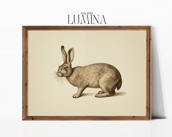 Vintage Hare Drawing Antique Rabbit Etching Style Animal Poster