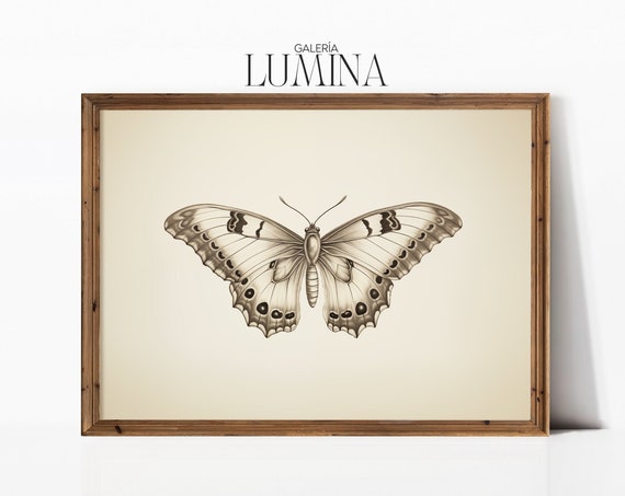 Butterfly Pencil Drawing Vintage Butterfly Wall Art Butterfly Sketch Art Antique Butterfly Print Art Frame Tv Art 053