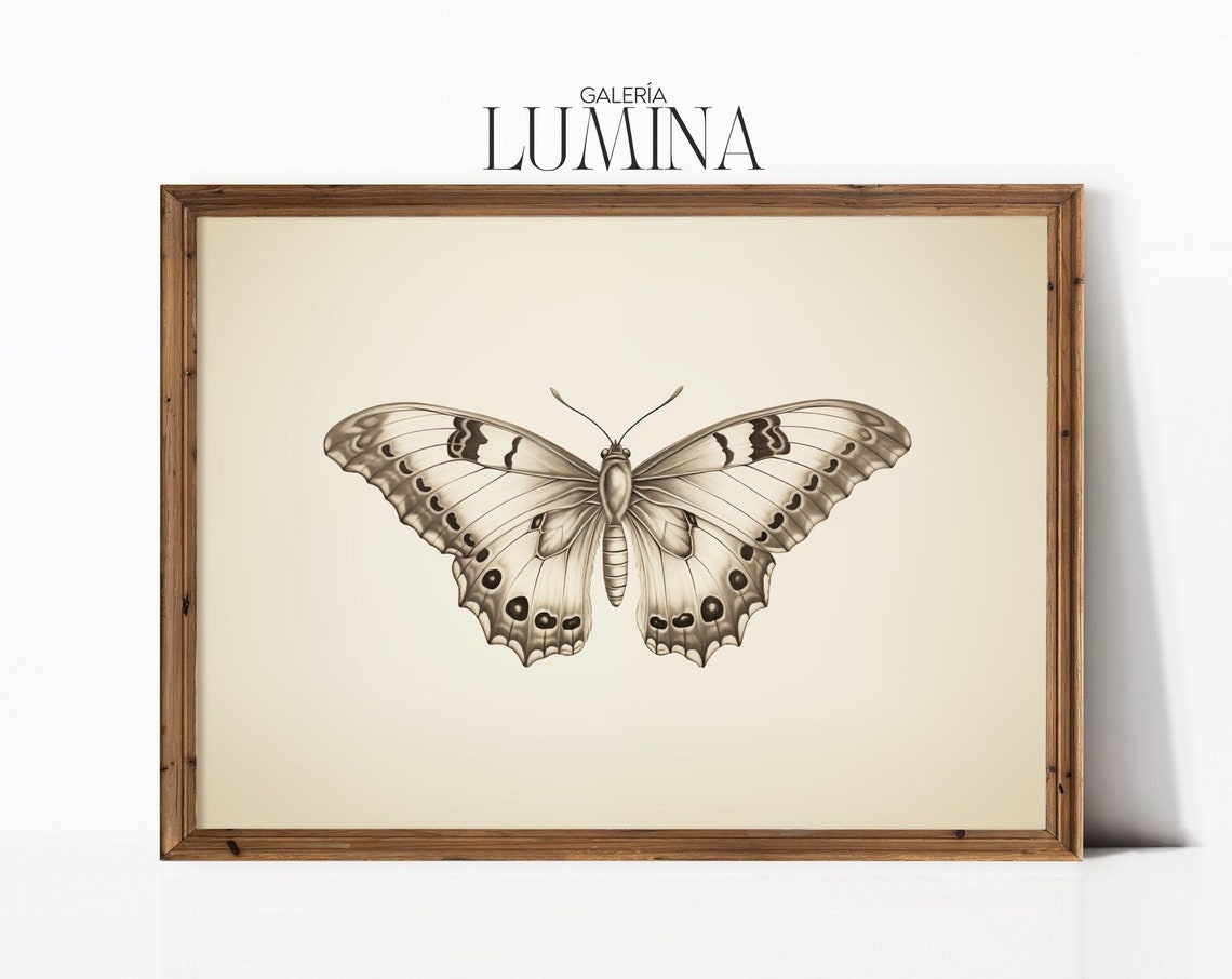 Butterfly Pencil Drawing Vintage Butterfly Wall Art Butterfly Sketch Art Antique Butterfly Print Art Frame Tv Art 053