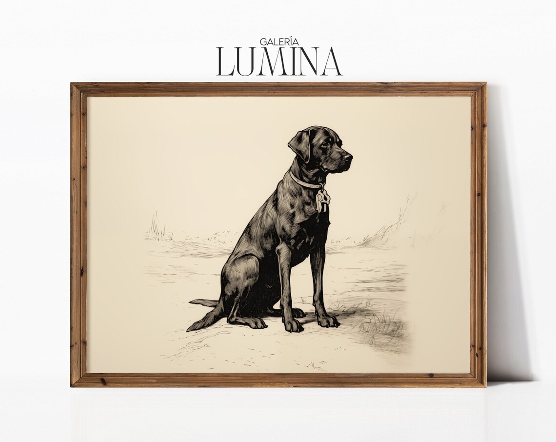 Black Labrador Ink Drawing Vintage Dog Art Print